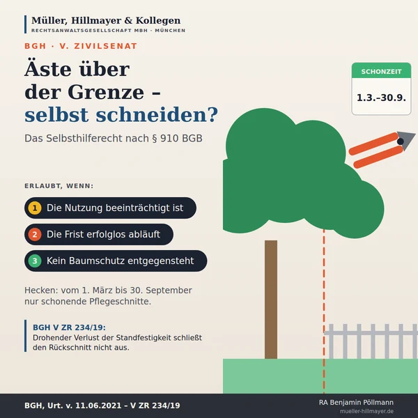 Infografik zum Beitrag: Überhängende Äste und eindringende Wurzeln: Wie weit das Selbsthilferecht reicht